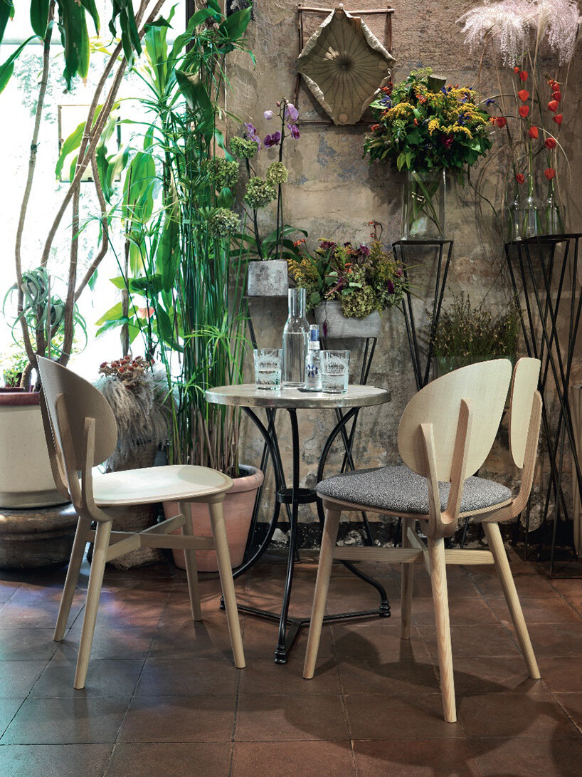 split leaf-like backrest + branch rear legs form fila chair by michele de lucchi for very wood