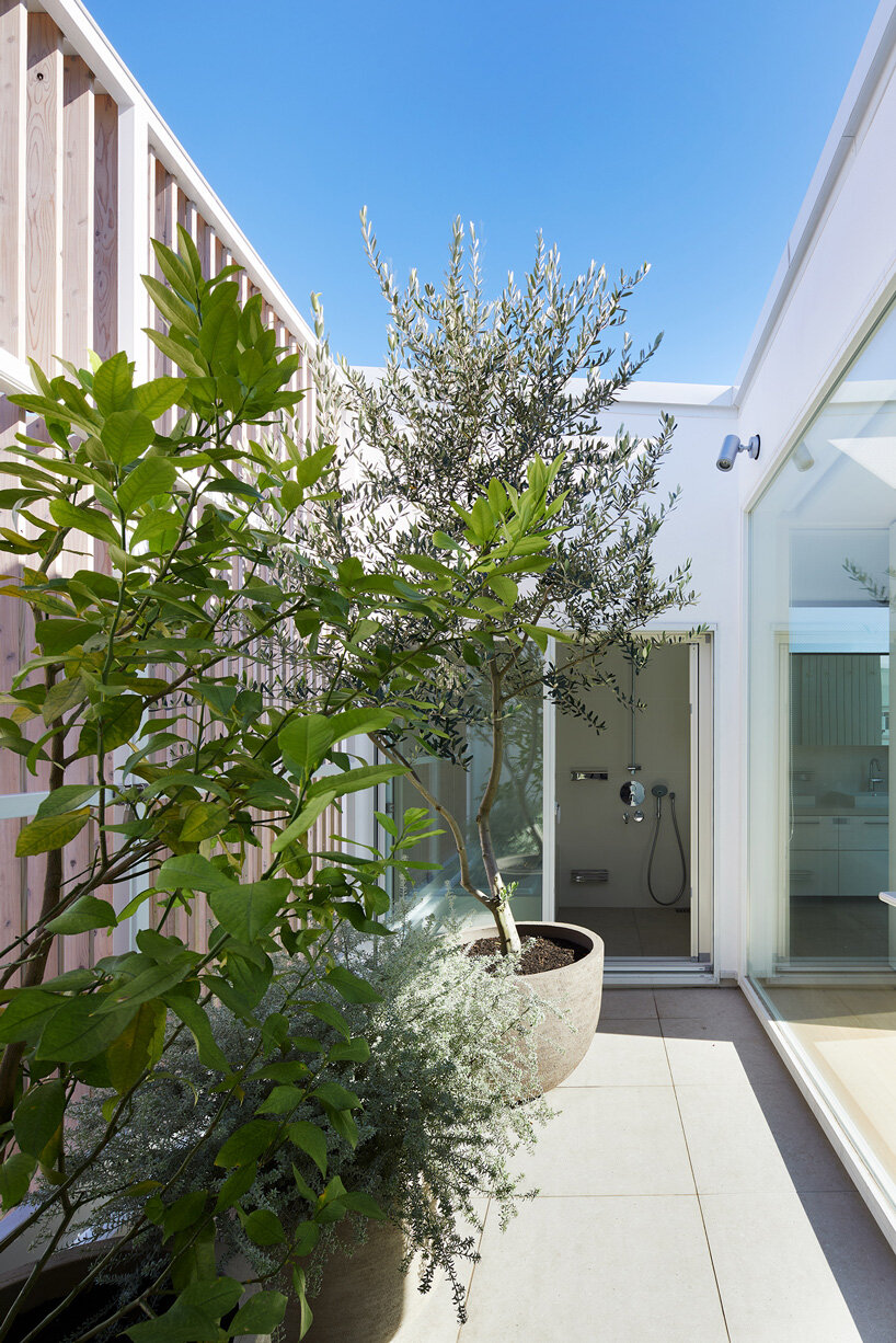 naf architect & design inserts glass courtyard in the center of this tokyo house