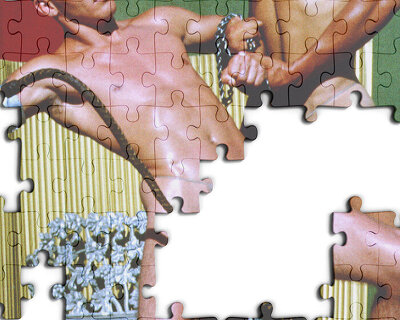 naked bits, a collection of adult puzzles that appreciate nudity