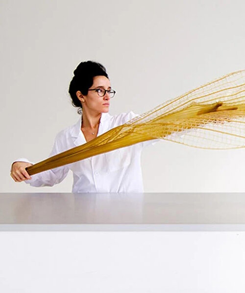 neri oxman set to open a new research and design lab in manhattan