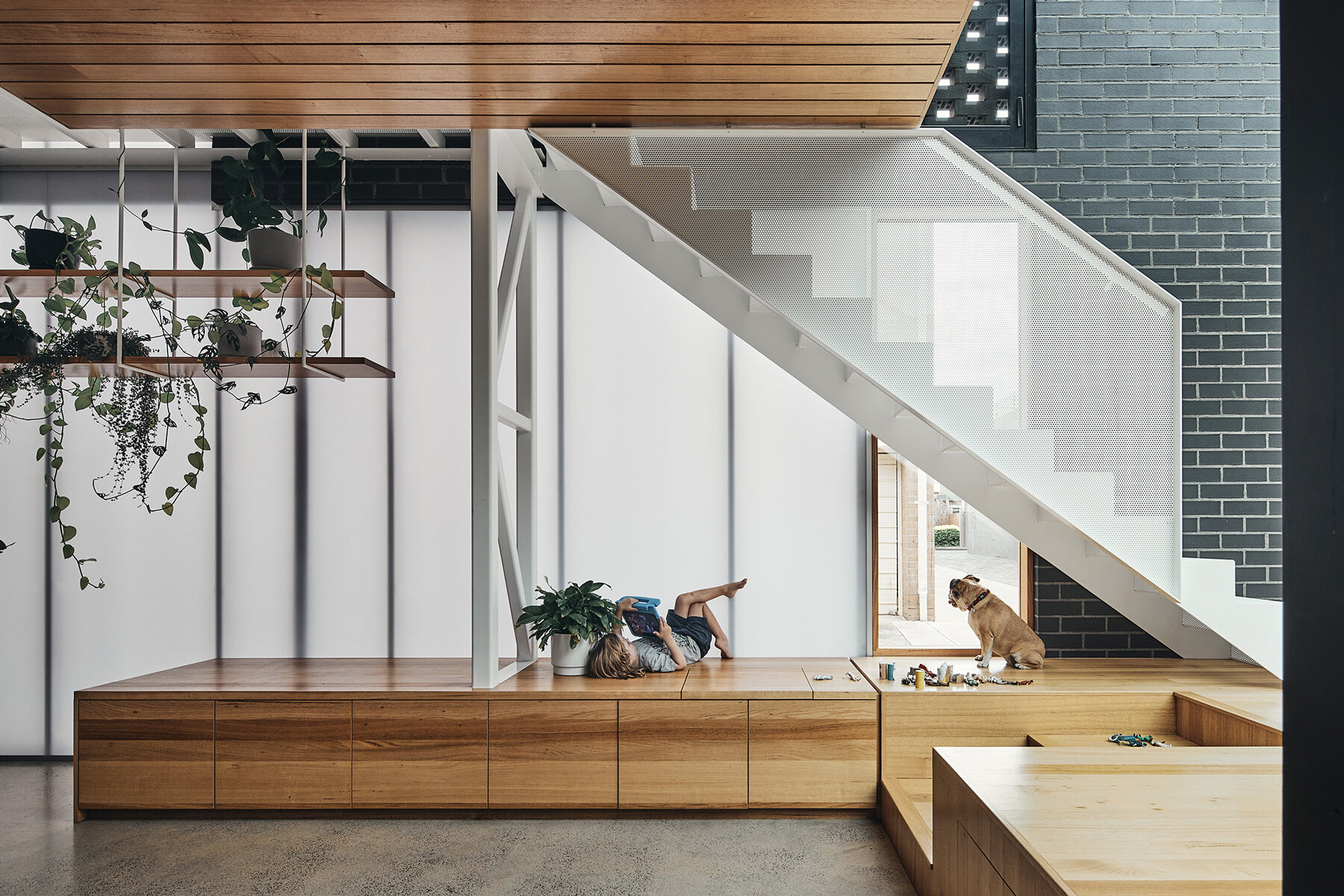 bloxas-earl-street-melbourne-designboom-11X