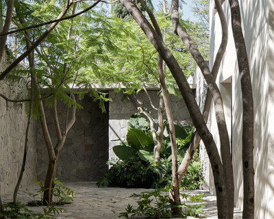 c3 arquitectos builds private residence with verdant protected patios in mexico