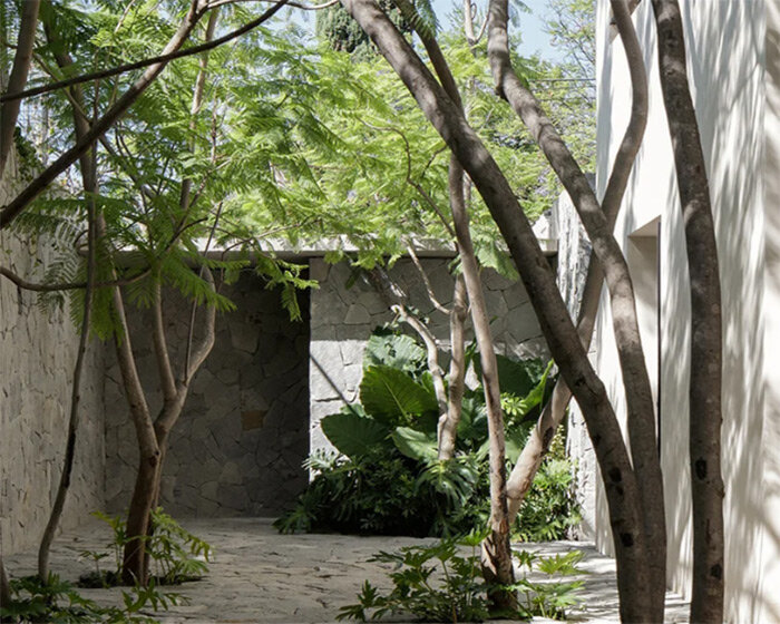 c3 arquitectos builds private residence with verdant protected patios in mexico