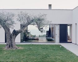 gabion cages filled with local stones support villa beusi's verdant terraces in italy