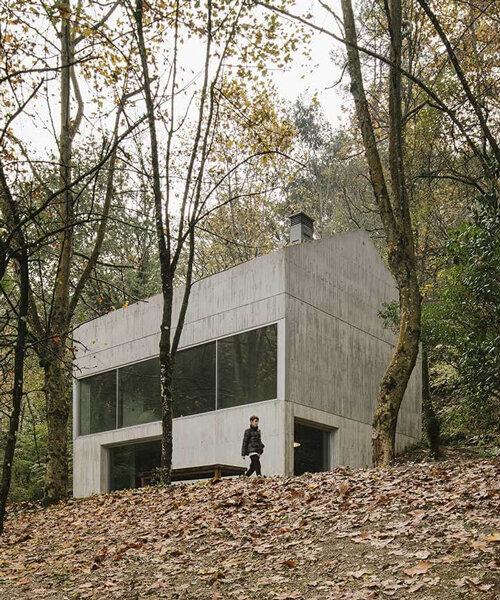 carvalho araújo embeds a minimal concrete house into a densely wooded hillside in portugal