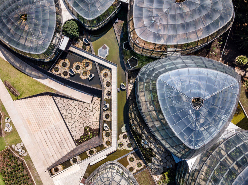DARP blends cluster of floating glass volumes into the lush botanical garden of bogotá