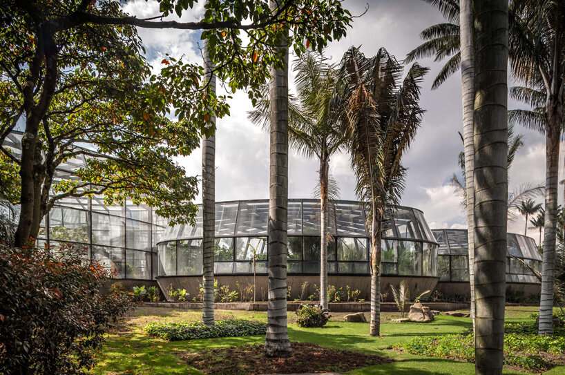 DARP blends cluster of floating glass volumes into the lush botanical garden of bogotá