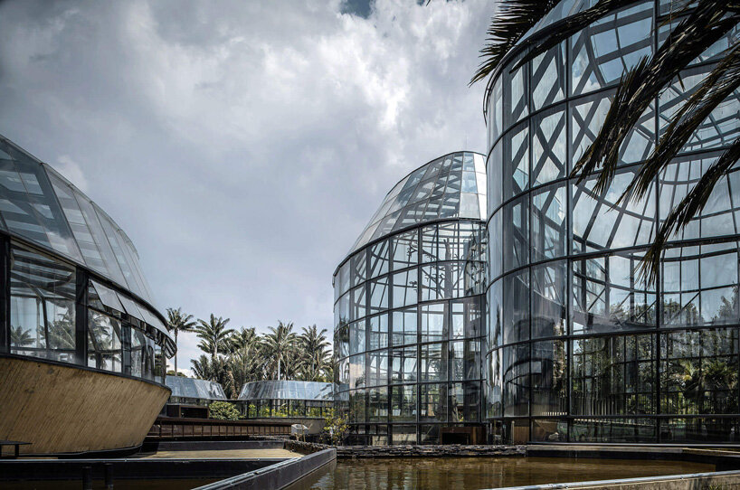 DARP blends cluster of floating glass volumes into the lush botanical garden of bogotá