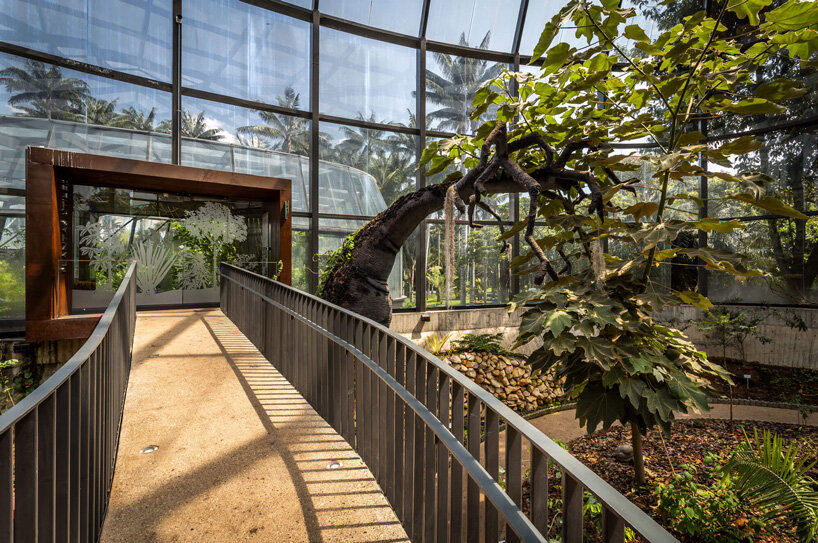 DARP blends cluster of floating glass volumes into the lush botanical garden of bogotá