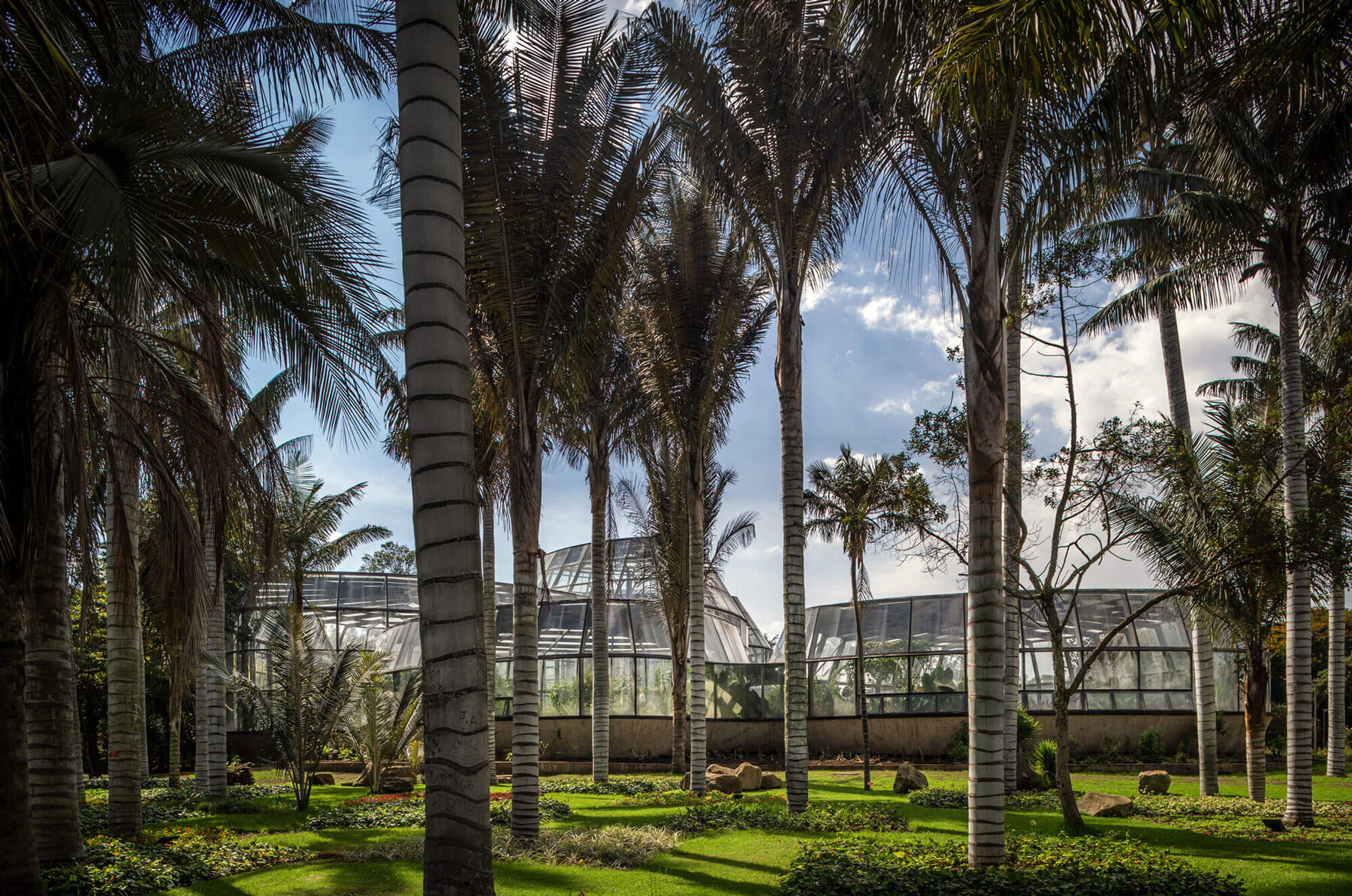darp-tropicario-botanical-garden-bogota-colombia-designboom-large