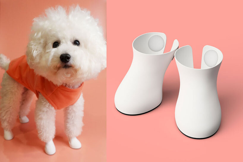 following street style of tokyo puppies, designers drop custom dogsoxx