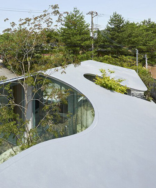sculptural roof curves around growing trees in tomohiro hata's house in okuike, japan