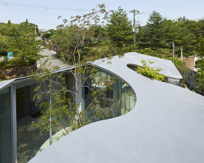 sculptural roof curves around growing trees in tomohiro hata's house in okuike, japan