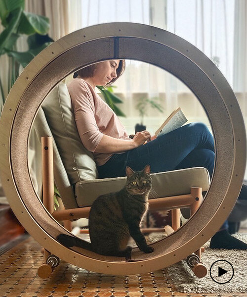 the 'loveseat' combines armchair & cat running wheel in one furniture piece