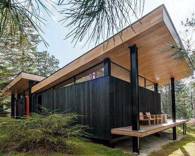 oak + steel residential extension by atelier victoria migliore nestles in french forested site