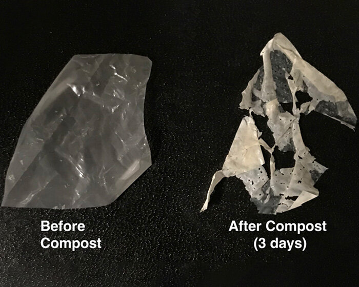 scientists unveil process that makes biodegradable plastics truly compostable