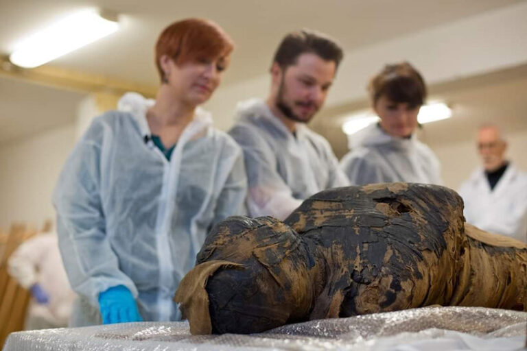 researchers discover the world's first pregnant egyptian mummy(02)