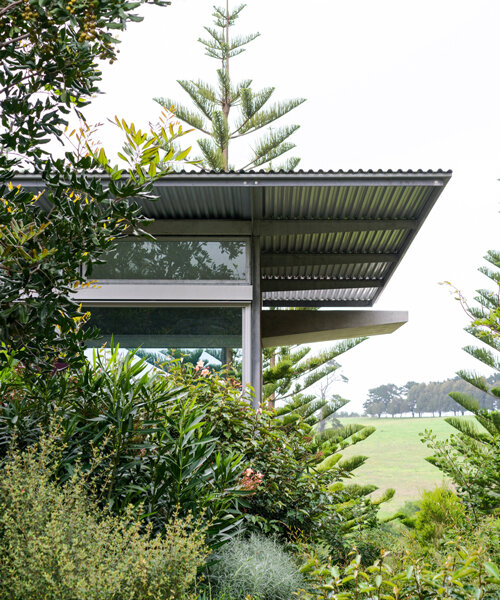 views and vegetation take center stage in tobias partners' australian garden house