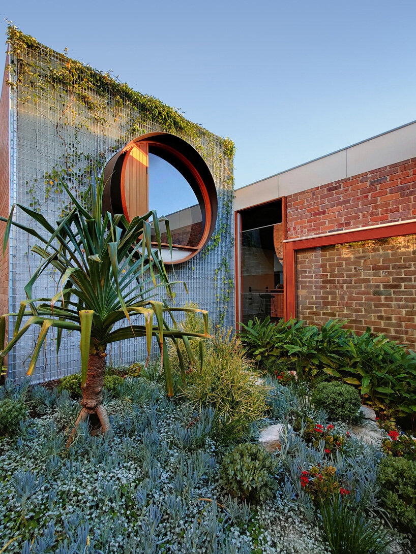 'totoro house' by CplusC playfully blends internal + external spaces in sydney, australia
