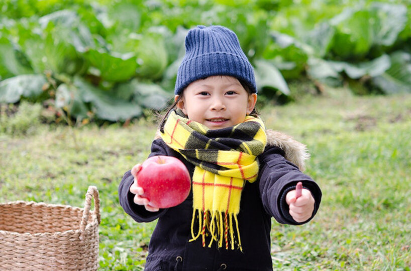 Vegetable Crayons