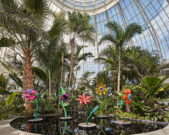 yayoi kusama plants polka-dotted trees and colossal dancing pumpkins across the new york botanical garden