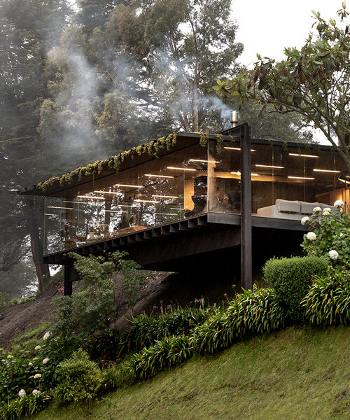 RAMA estudio's casa mirador in ecuador is a glass box overgrown with lush plant life