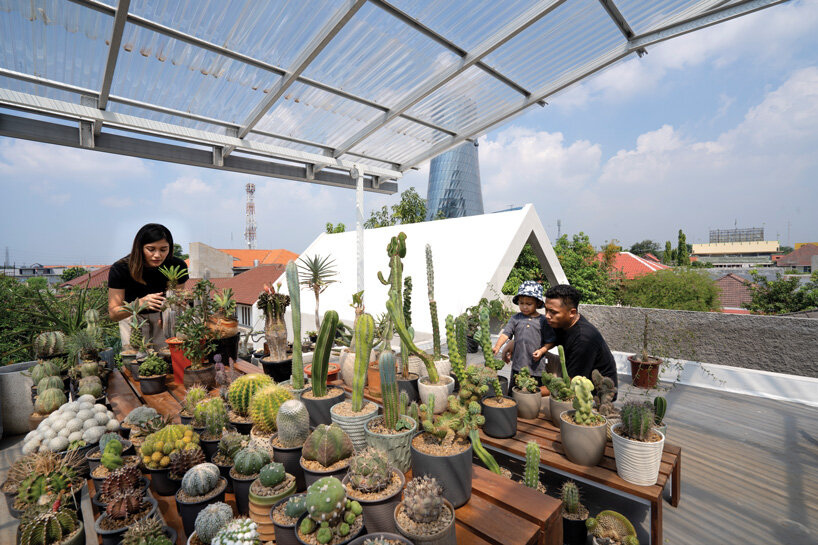 brick-clad façade of 'griyoase' house hides tree-planted courtyard in indonesia