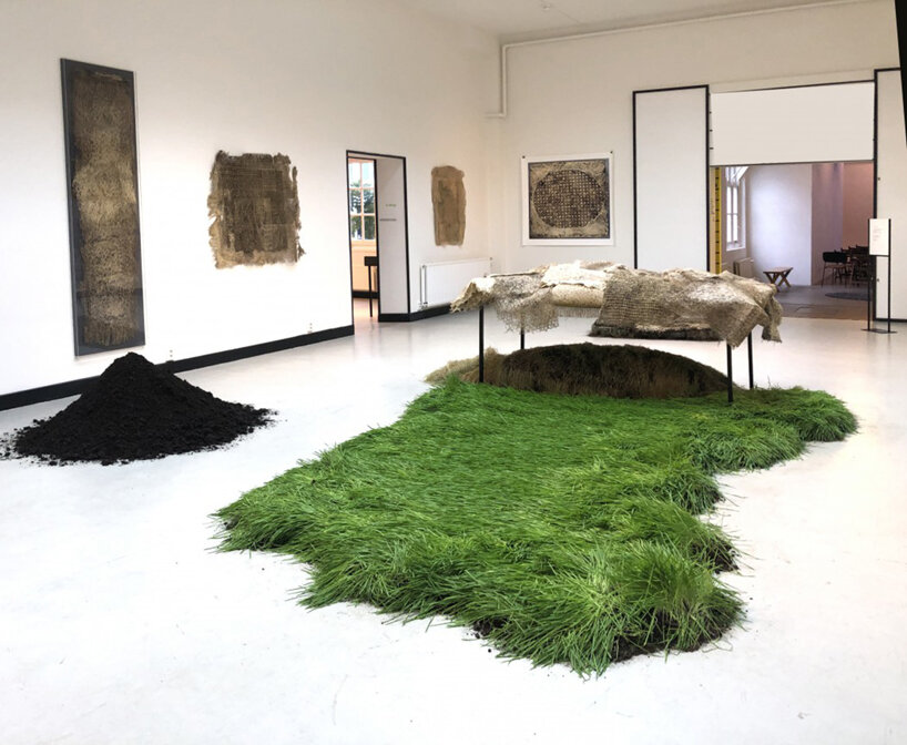 diana scherer roots
