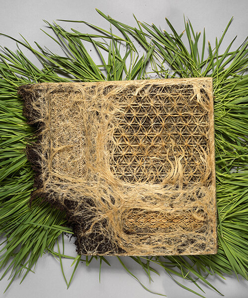 diana scherer's intricately patterned roots could be a carbon capturing eco-material
