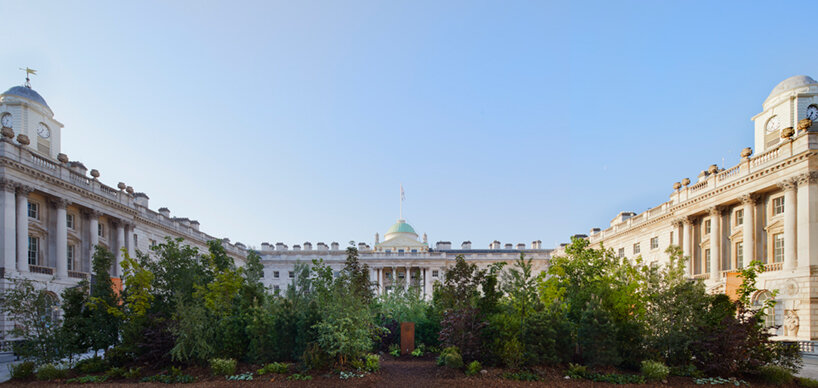 400 trees transform urban square into a 'forest for change' at london design biennale 2021