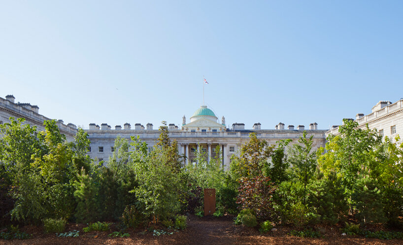 400 trees transform urban square into a 'forest for change' at london design biennale 2021