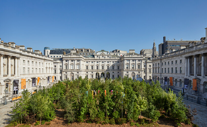 400 trees transform urban square into a 'forest for change' at london design biennale 2021