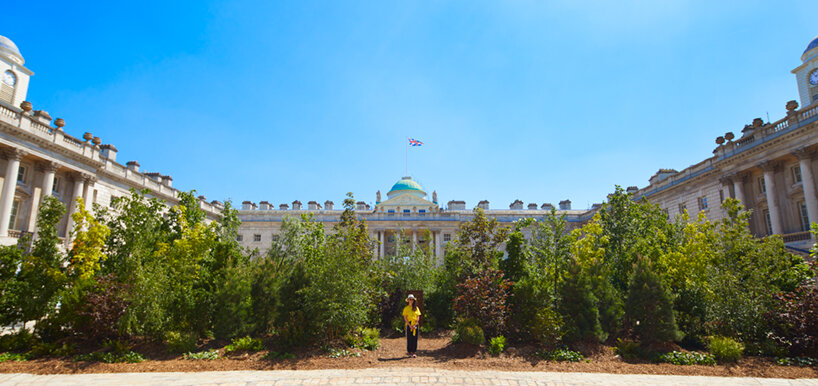 400 trees transform urban square into a 'forest for change' at london design biennale 2021