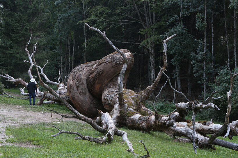 rooted in nature, henrique oliveira reflects on intervening in the fabric of reality