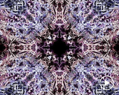 finding beauty in biological systems: laura splan on animating the alienating science of the pandemic