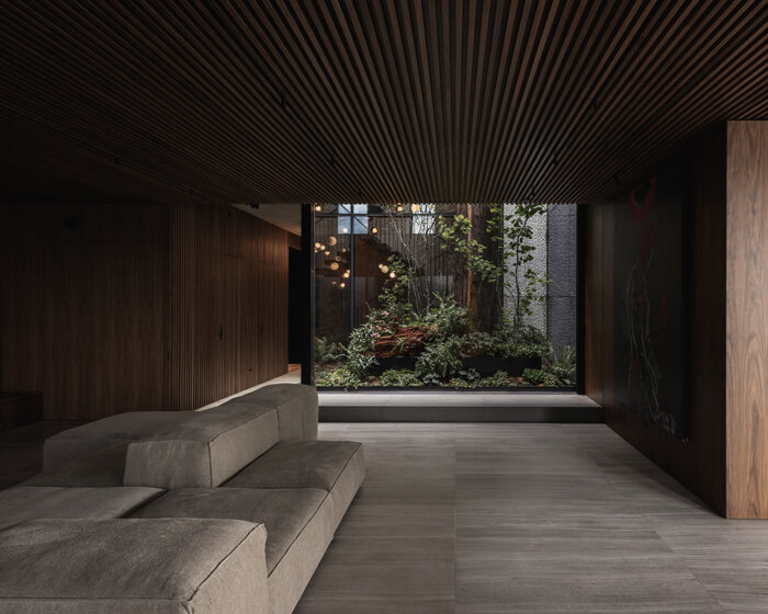 a full-size red cedar tree grows inside BIG's vancouver house penthouse by leckie studio