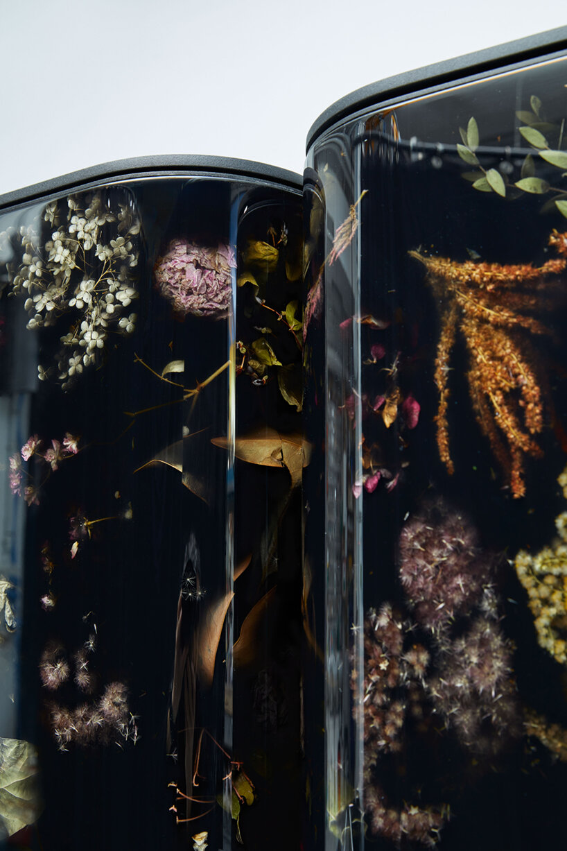 marcin rusak studio's 'flora cabinet' preserves the fleeting beauty of dried flowers