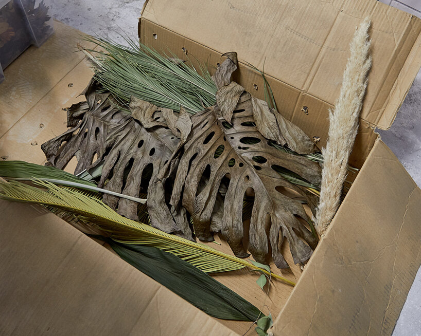 marcin rusak flora cabinet