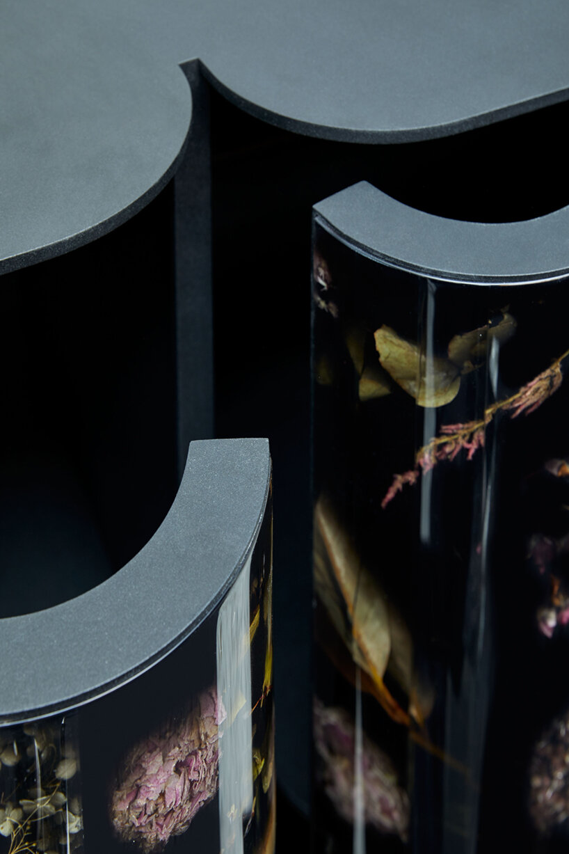 marcin rusak studio's 'flora cabinet' preserves the fleeting beauty of dried flowers