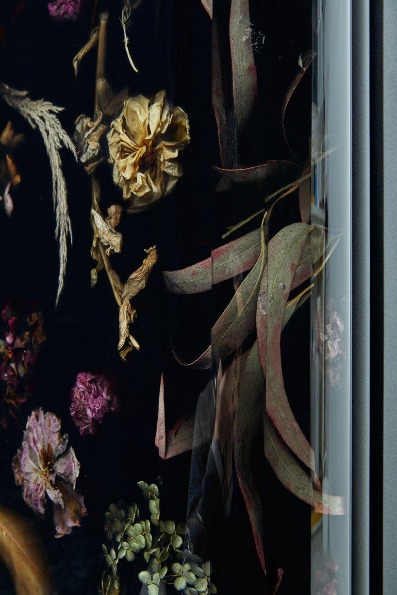 marcin rusak studio's 'flora cabinet' preserves the fleeting beauty of dried flowers