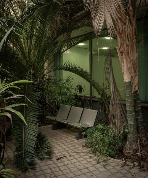 morgan o'donovan photographs the tropical jungle that overtook a ruinous UK office block