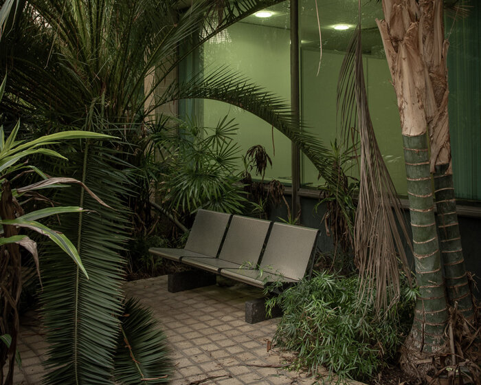 morgan o'donovan photographs the tropical jungle that overtook a ruinous UK office block