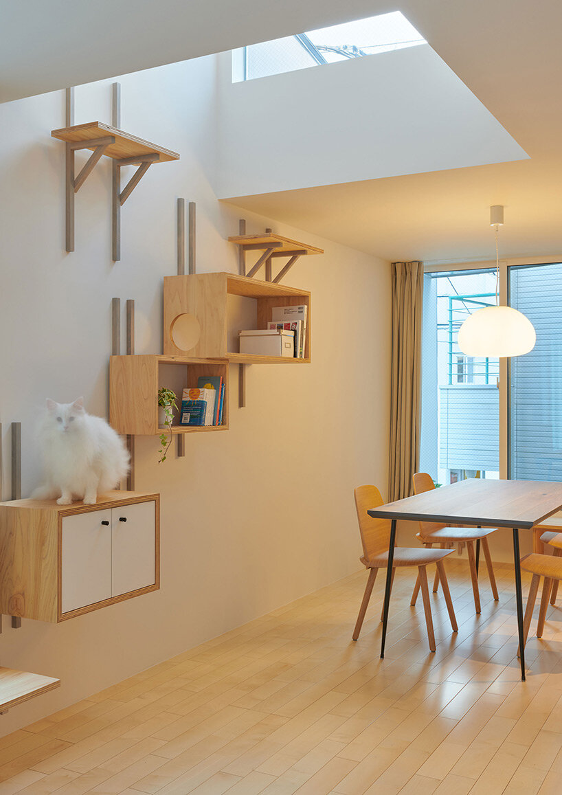 twisted diagonal volumes form GENETO's house accommodating both humans and cats