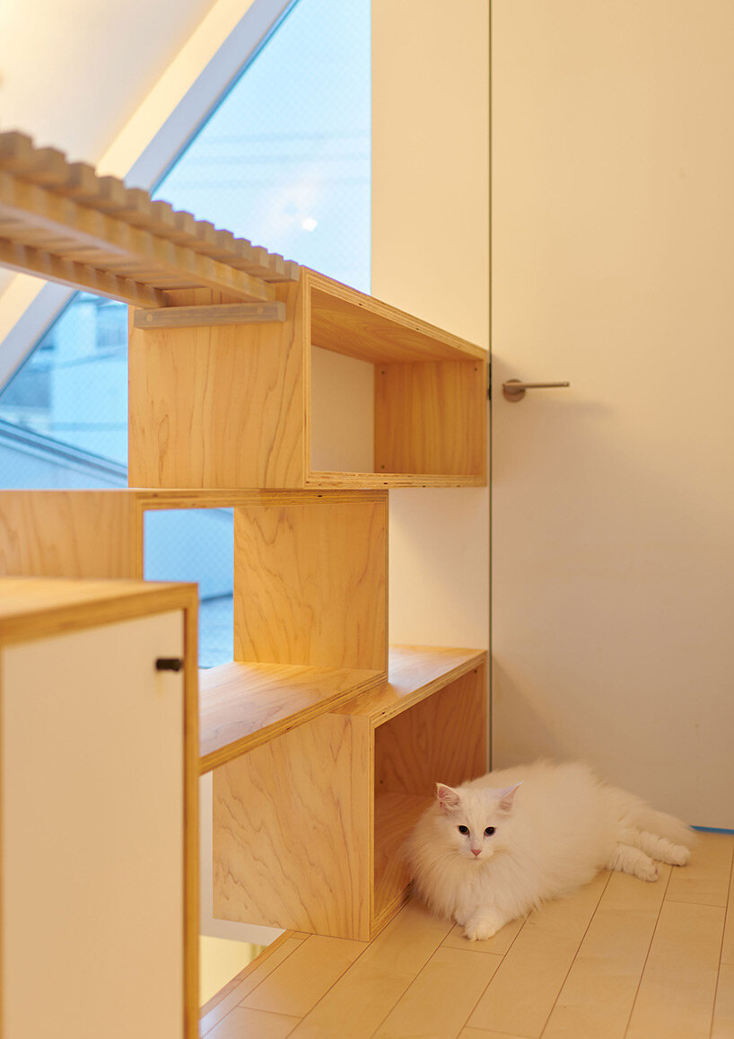 twisted diagonal volumes form GENETO's house accommodating both humans and cats