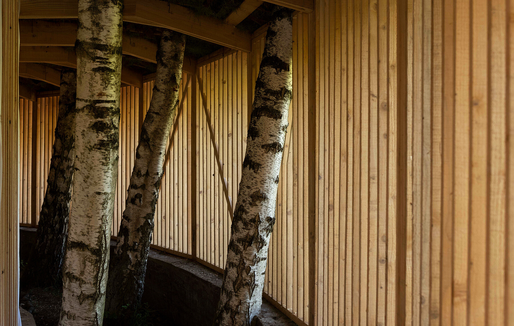 oak-project-yorkshire-sculpture-park-studio-morison-designboom-06X