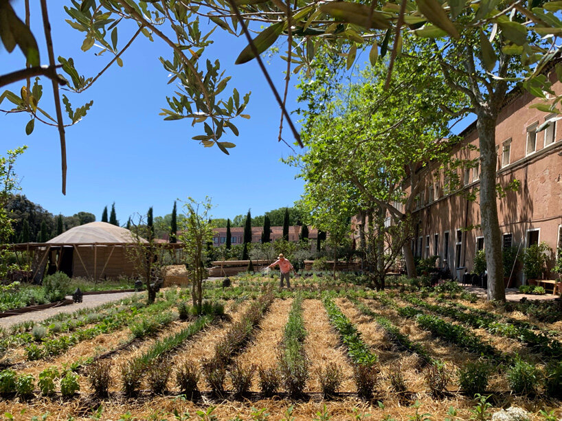 simón vélez and stefana simic build bamboo 'majlis' at the venice architecture biennale