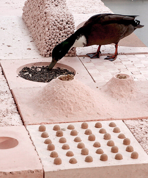 studio ossidiana's biennale installations spatialize coexistence of humans + birds