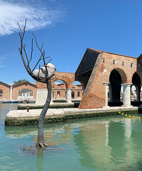 a tree planted in water at the venice biennale represents the wisdom of listening