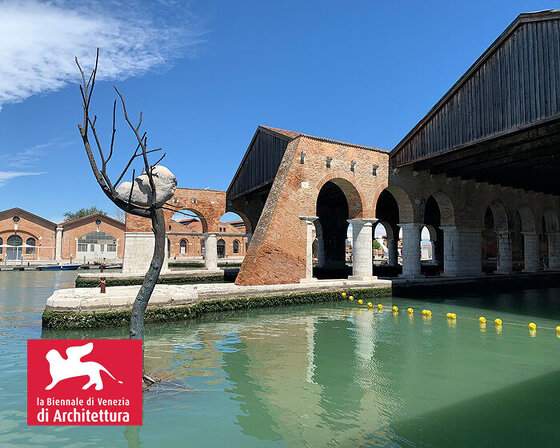 a tree planted in water at the venice biennale represents the wisdom of listening