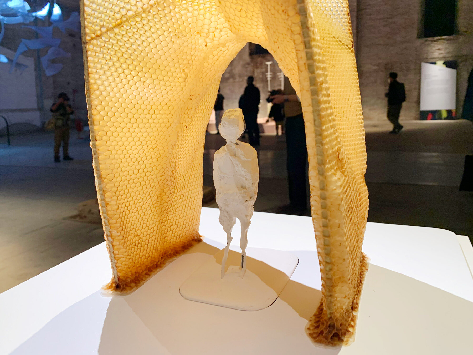 tomáš libertíny exhibits architecture by bees at the venice biennale